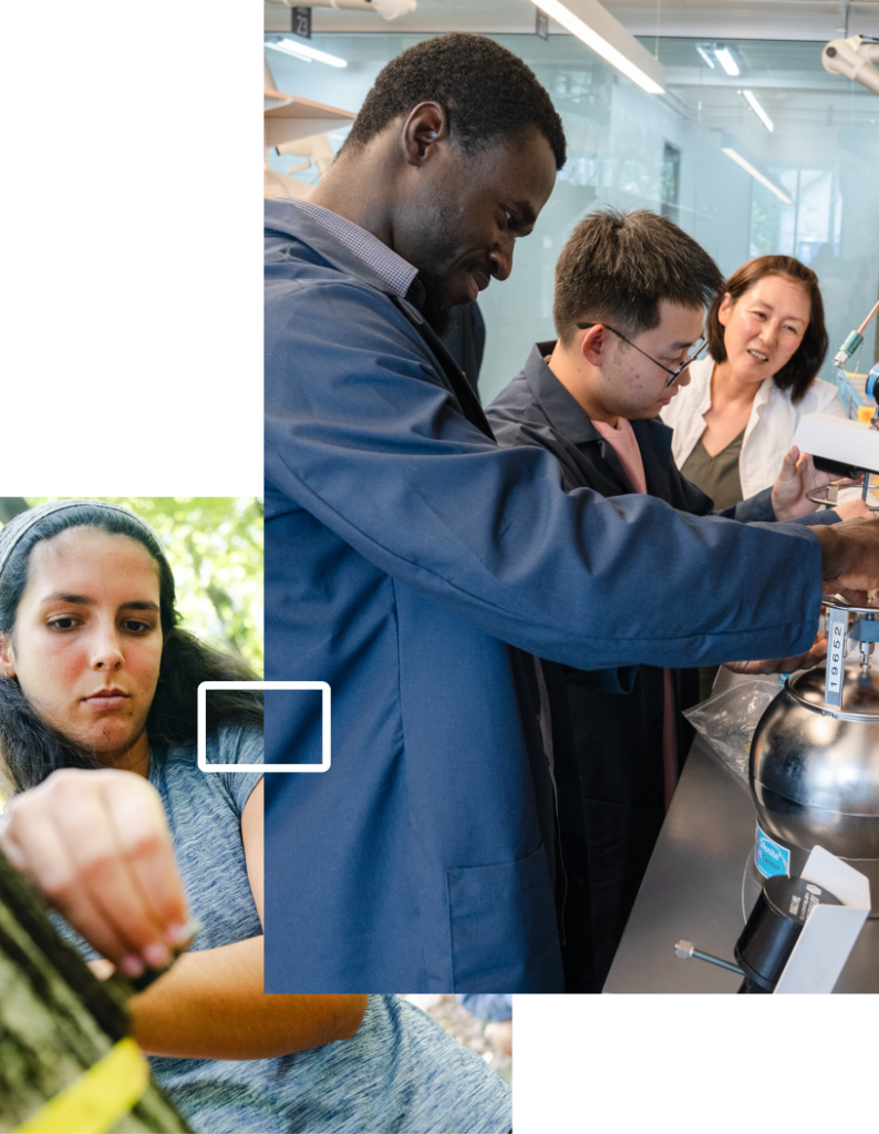 bottom left image is of student working with her hands outside and top right image is of two male students with professor in science lab